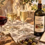 Gaillac vin en verres : accords et cépages